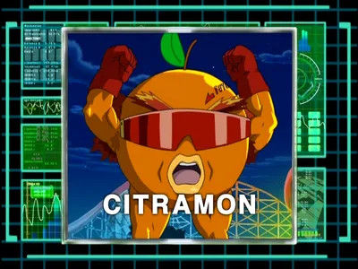 Citramon portrait